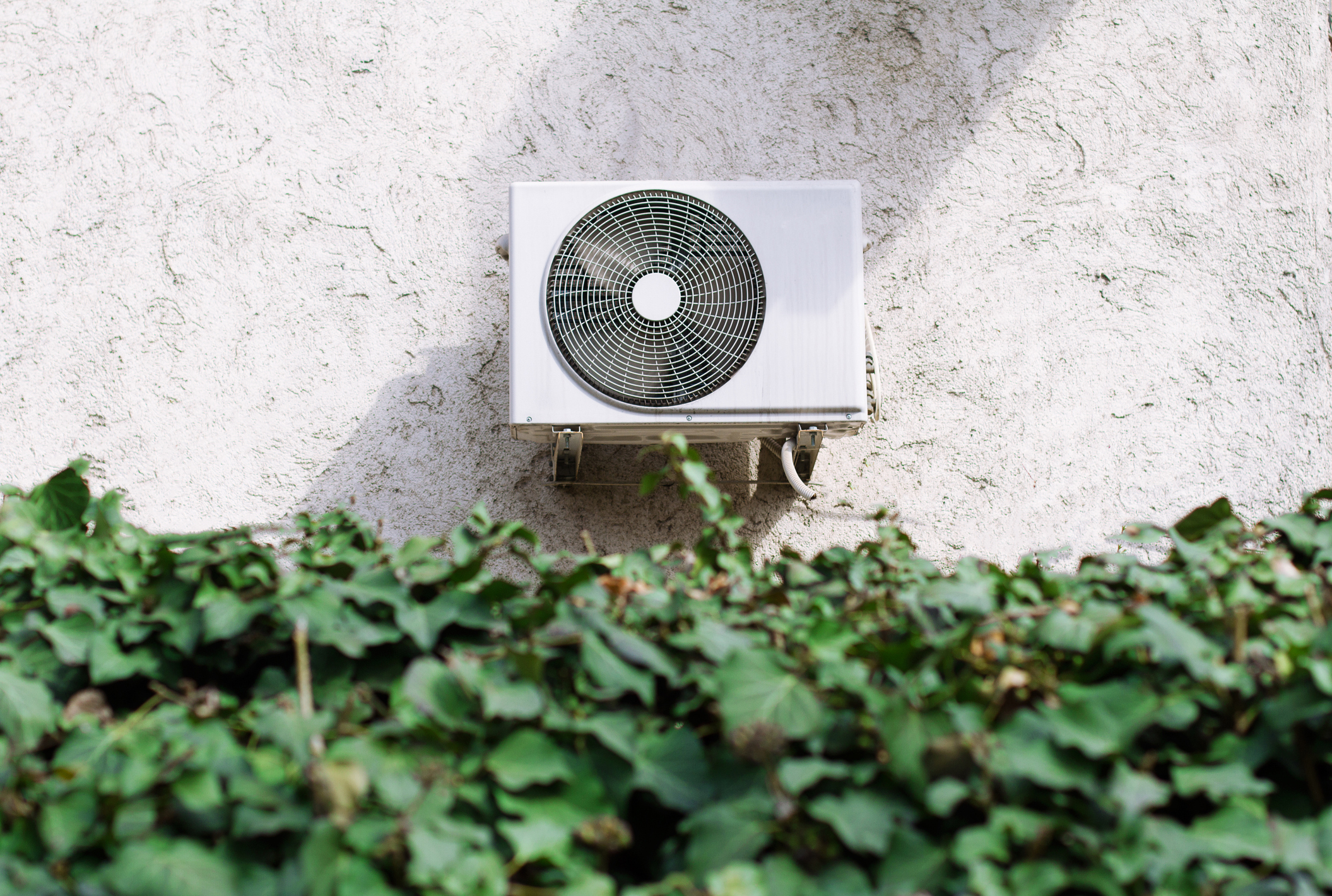 Heat Pump and Leaves